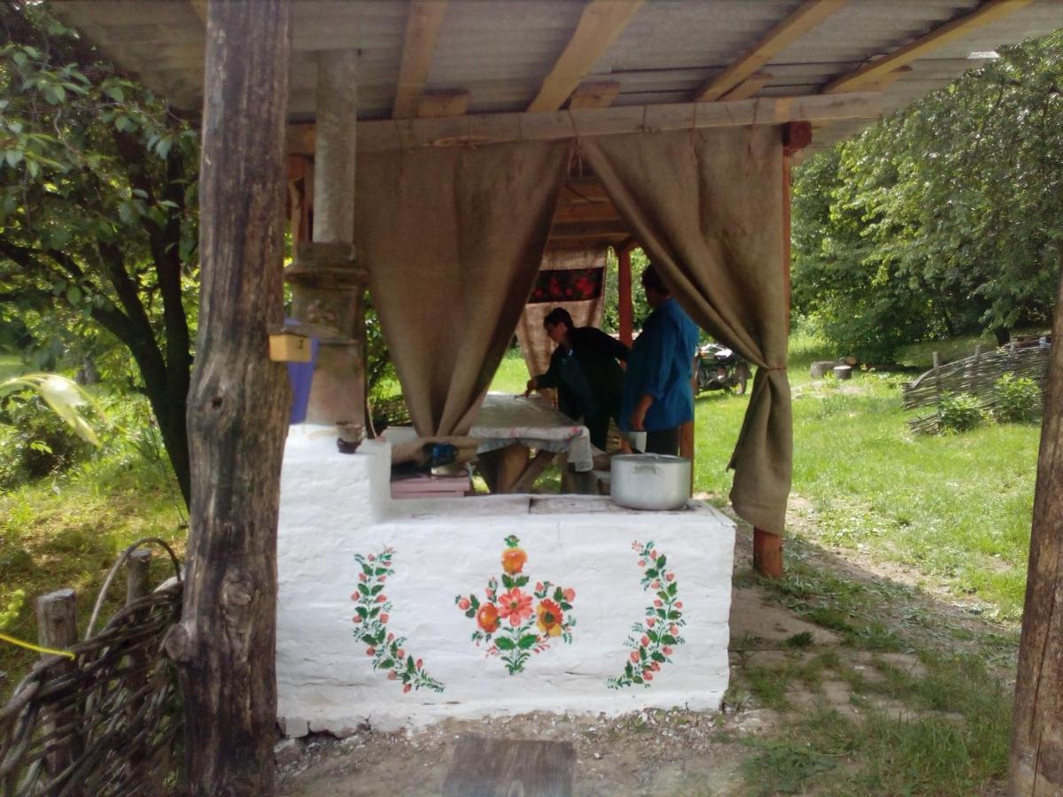 Maliovnytsya Konuk evi Dybintsy Dış mekan fotoğraf