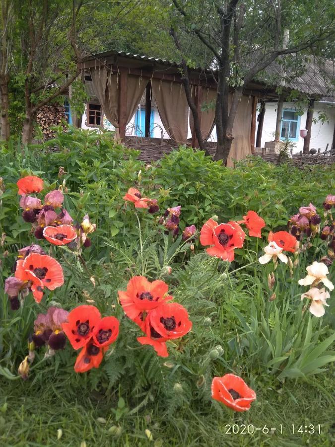 Maliovnytsya Konuk evi Dybintsy Dış mekan fotoğraf