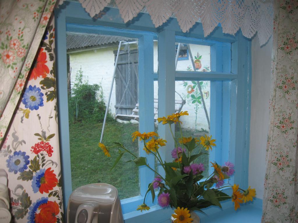 Maliovnytsya Konuk evi Dybintsy Dış mekan fotoğraf