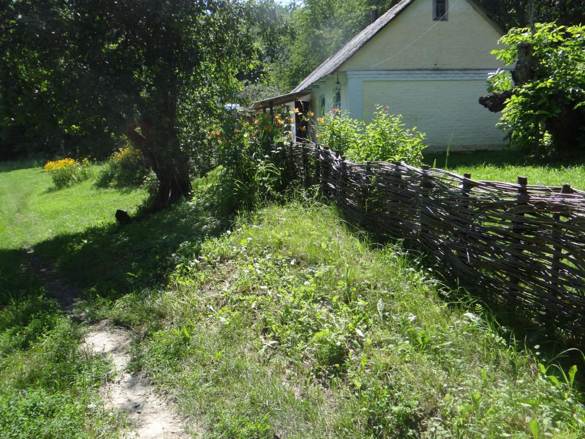 Maliovnytsya Konuk evi Dybintsy Dış mekan fotoğraf