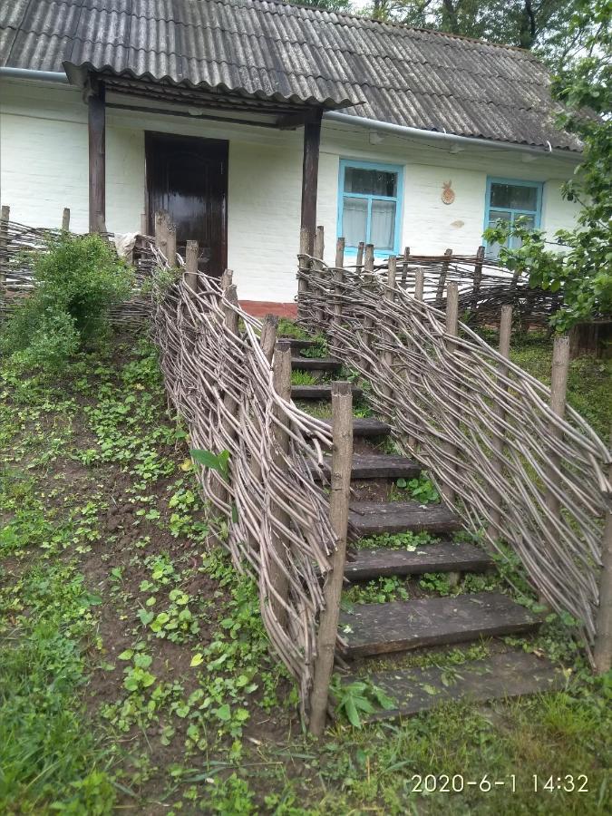 Maliovnytsya Konuk evi Dybintsy Dış mekan fotoğraf
